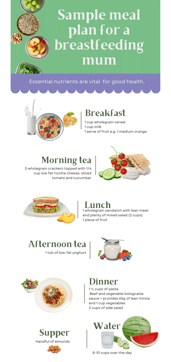 Sample meal plan which is for a breastfeeding mum